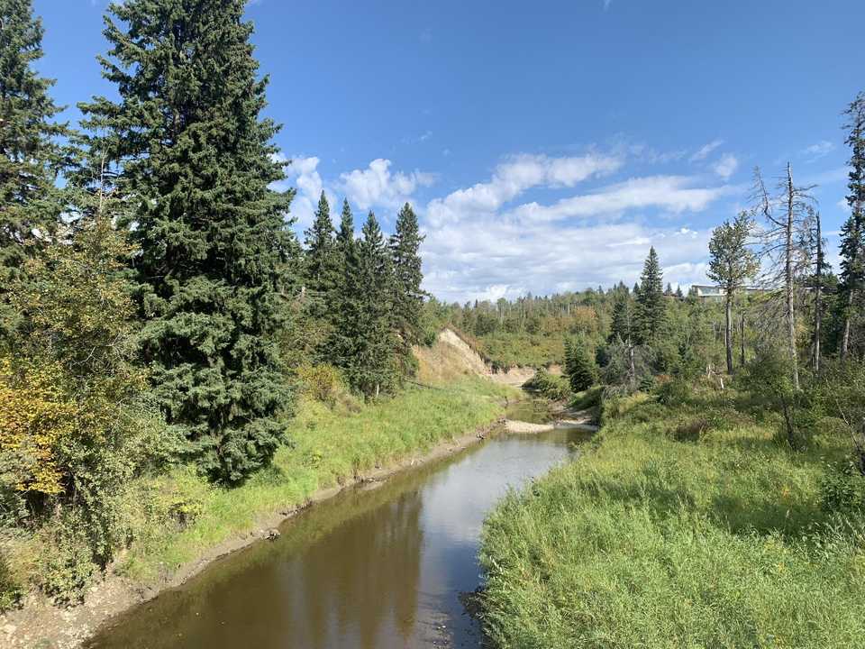 Whitemud Creek