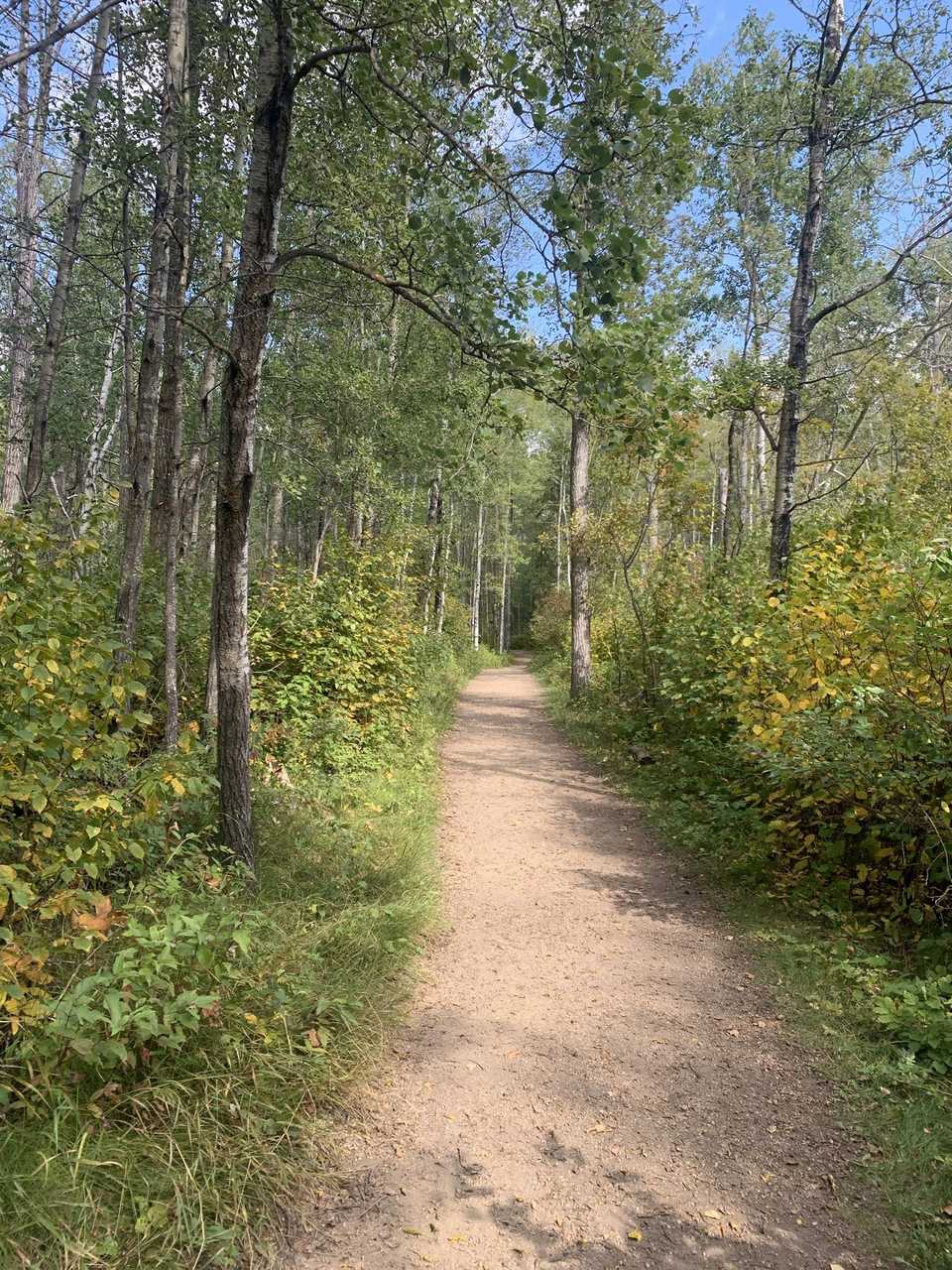 Whitemud Ravine