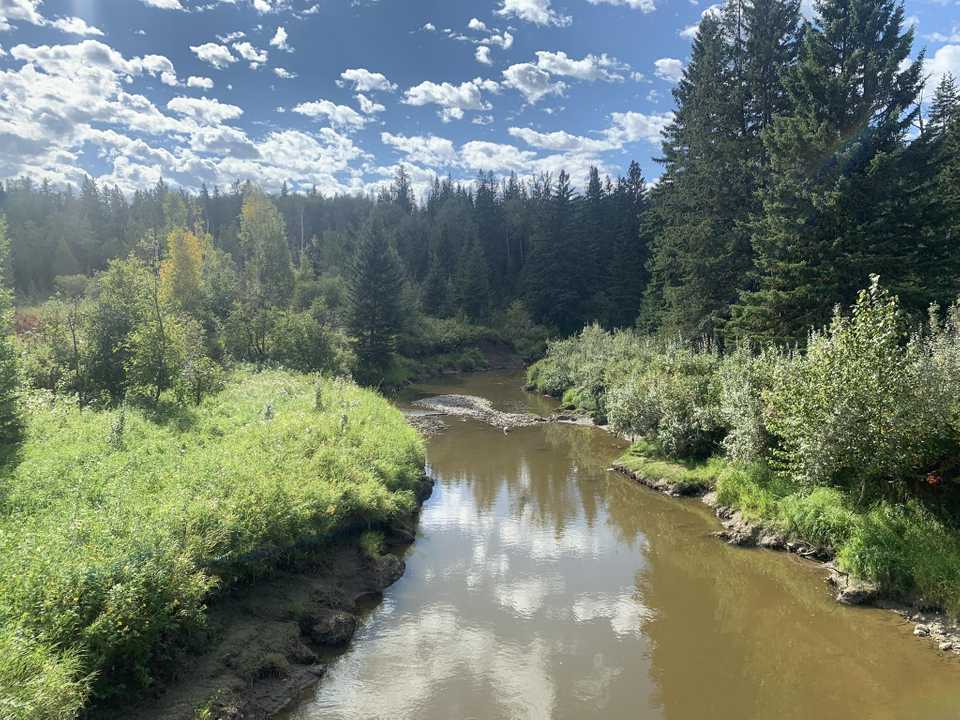 Whitemud Ravine